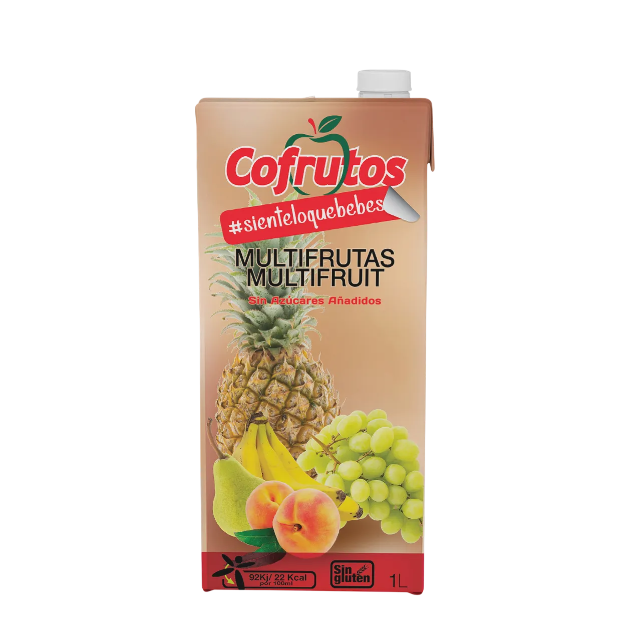 Multifruit Juice Drink
