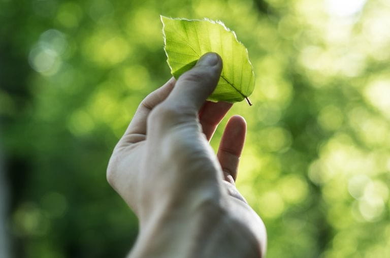 L'engagement de Cofrutos pour l'environnement
