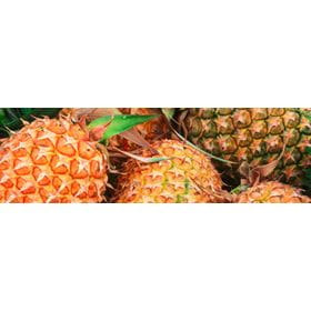 About Cofrutos