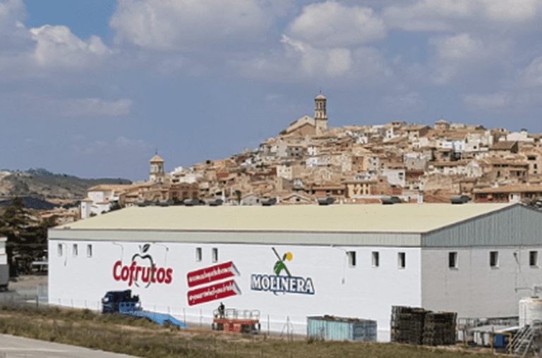 Calidad y seguridad alimentaria