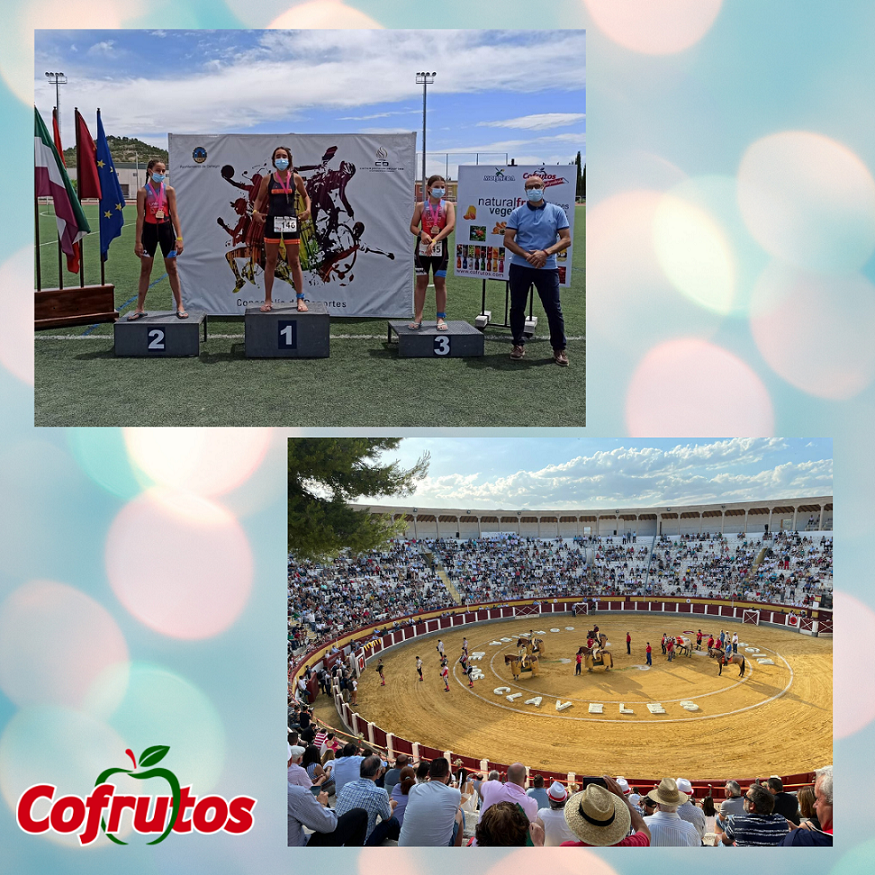 COLABORACIONES CON EL DEPORTE Y LOS TOROS EN CEHEGIN